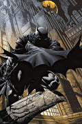 Batman 24x36 Cape Poster: Individually Rolled & Labeled