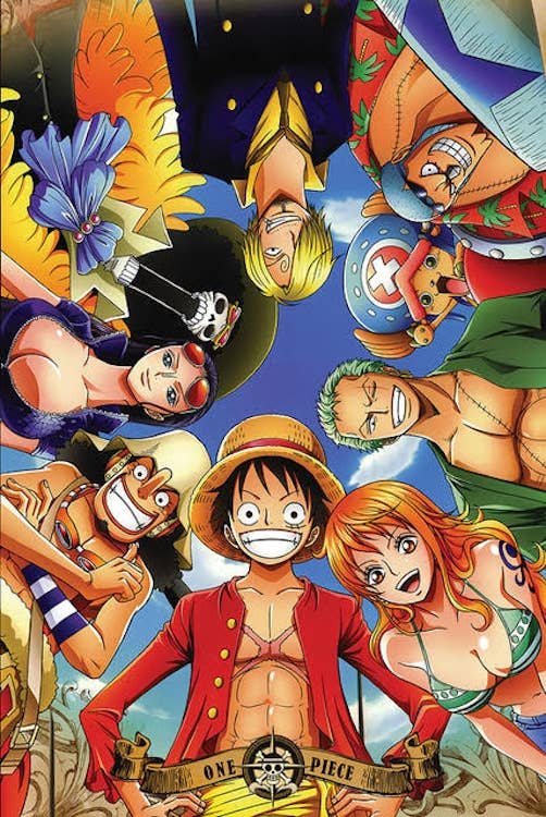 One Piece Circle Anime Poster Size 24X36: Individually Rolled & Labeled